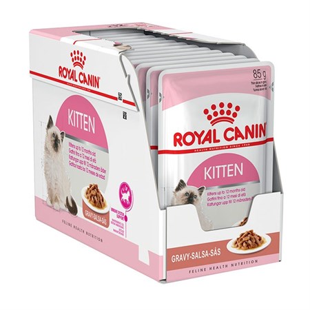 Royal Canin Kitten Jelly 85 gr In Gelatina Per Gatti in Gatti