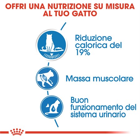 Royal Canin Ultra Light Jelly 85 gr In Gelatina Per Gatti in Gatti