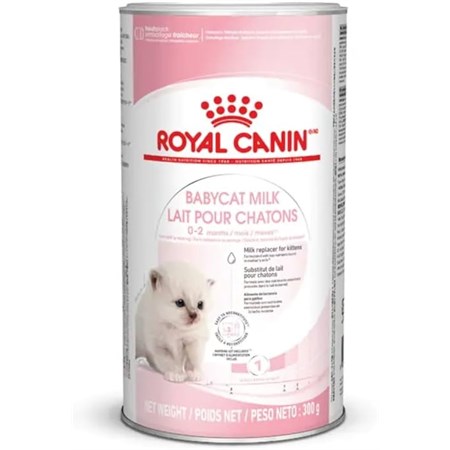 Royal Canin BABY CAT Milk gatto gr 300 Latte in polvere in Gatti