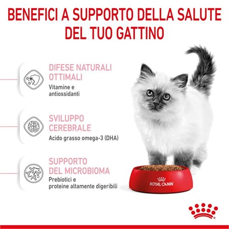 Royal Canin Kitten gatto gr 400 in Gatti