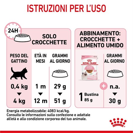 Royal Canin Kitten gatto kg 2 in Gatti