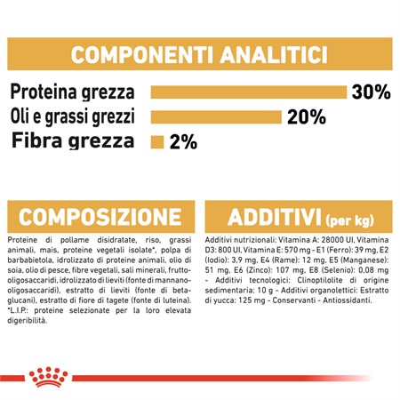 Royal Canin Chihuahua PUPPY 1,5 kg in Cani