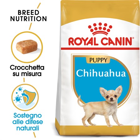 Royal Canin Chihuahua PUPPY 1,5 kg in Cani