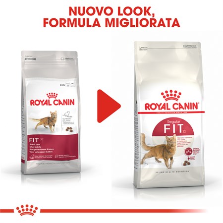 Royal Canin Fit 32 - 10 kg Croccantini Per Gatti in Gatti