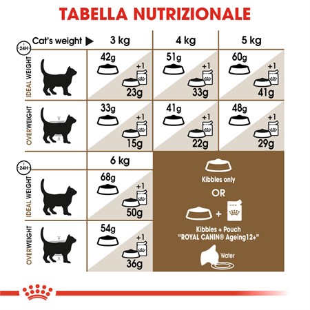 Royal Canin Senior Ageing + 12 Gatto 2 kg in Gatti