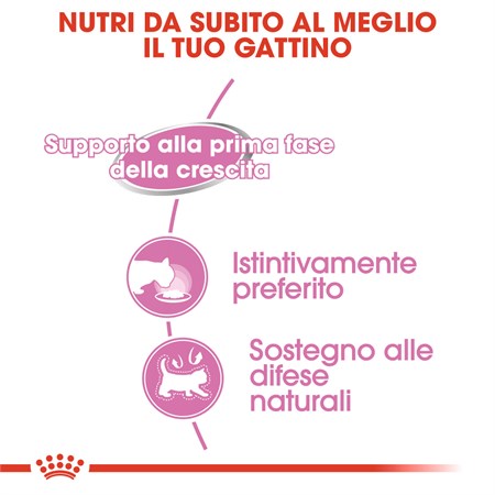 Royal Canin Mother BABY CAT Mousse 195 gr Cibo Umido Per Gatti in Gatti