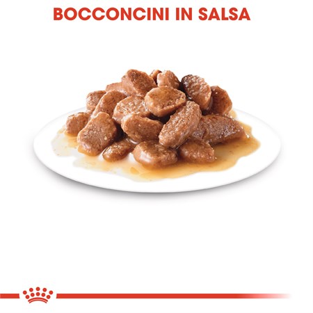 Royal Canin Instinctive Adult Gravy 85 gr In Salsa Per Gatti in Gatti