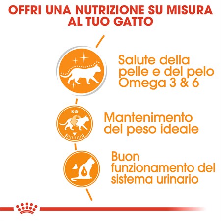 Royal Canin Hair Skin Gravy 85 gr In Salsa Per Gatti in Gatti