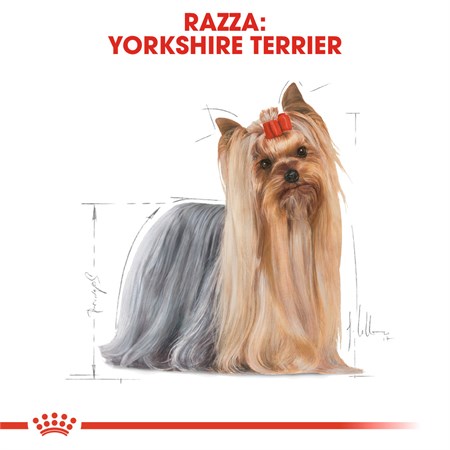 Royal Canin Yorkshire Terrier Adult 1,5 kg in Cani