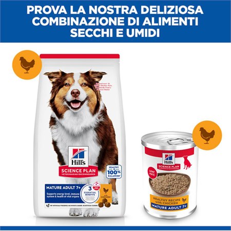 Hill's Science Plan Cane Umido Mature 7+ 370 gr Per Cani Anziani in Cani