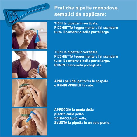 Frontline - SPOT ON Antiparassitario per Gatto 3 Pipette per gatti in Gatti