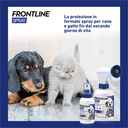 Frontline Spray 100 ml per Cani e Gatti in Gatti