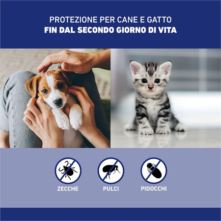 Frontline Spray 100 ml per Cani e Gatti in Gatti