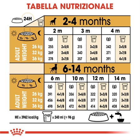 Royal Canin Boxer Puppy 12 kg in Cani