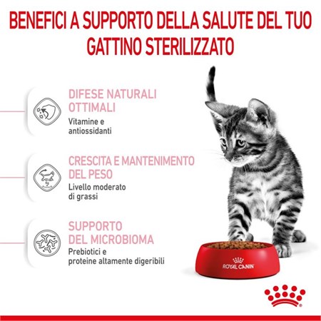 Royal Canin Kitten Sterilised 2 Kg Gatto in Gatti