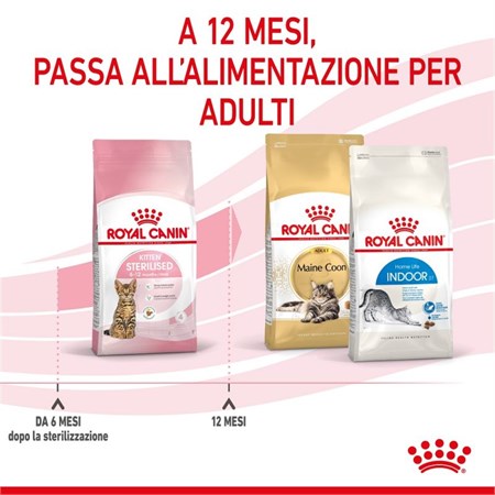 Royal Canin Kitten Sterilised 2 Kg Gatto in Gatti