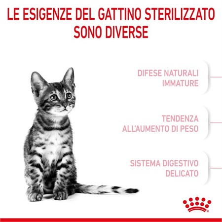 Royal Canin Kitten Sterilised 3,5 Kg Gatto in Gatti
