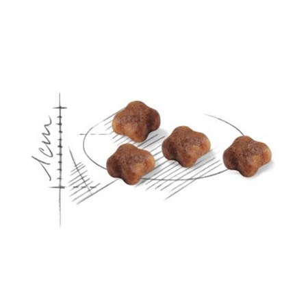 Royal Canin Mother & BABY CAT Kitten 400 gr Per Gatti in Gatti