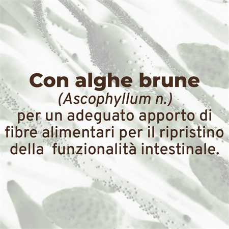 Forza 10 Active Intestinal Colon Pesce 390 Gr Barattolo Umido Per Cani in Cani