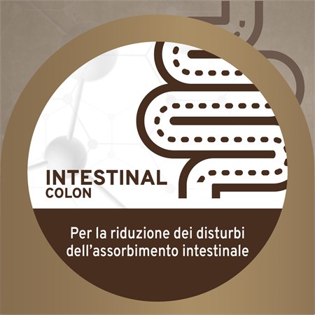 Forza 10 Active Intestinal Colon Pesce 390 Gr Barattolo Umido Per Cani in Cani