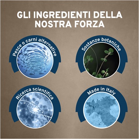 Forza 10 Active Intestinal Colon Pesce 390 Gr Barattolo Umido Per Cani in Cani