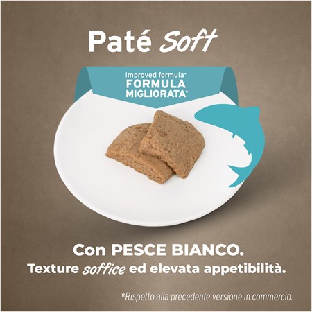 Forza 10 Active Intestinal Colon Pesce 390 Gr Barattolo Umido Per Cani in Cani