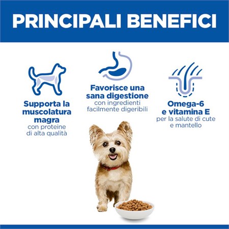 Hill's Science Plan Small & Mini Adult con Pollo 6 kg in Cani