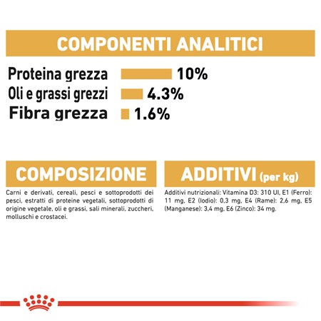 Royal Canin Maine Coon Adult 2 kg in Gatti