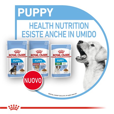 Royal Canin Mini Puppy 85 Gr Busta In Salsa Umido Per Cane in Cani