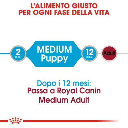 Royal Canin Medium Puppy 140 Gr Busta In Salsa Umido Per Cane in Cani