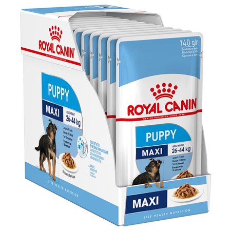 Royal Canin Maxi Puppy 140 Gr Busta In Salsa Umido Per Cane in Cani