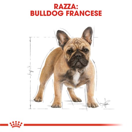 Royal Canin Bulldog Francese Adult 9 kg in Cani