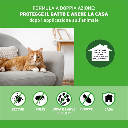 Frontline Combo Gatti 6 Pipette da 0,5 ml in Gatti