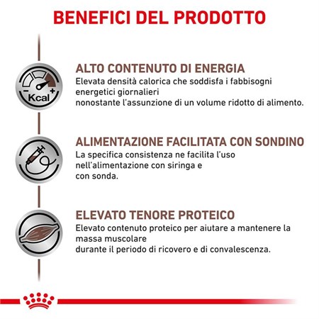 Royal Canin Recovery Veterinary Diet 195 gr Cane e Gatto in Cani