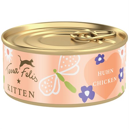 Kitten Pollo in Gatti