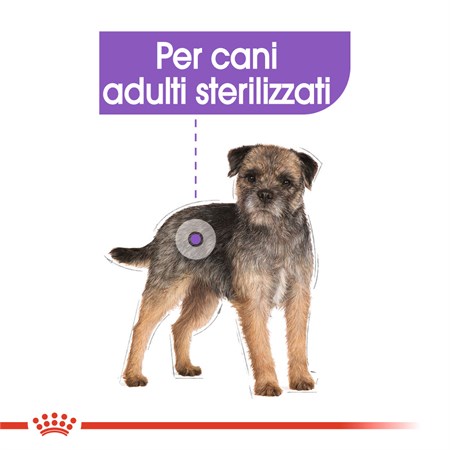 Royal Canin Mini Adult Sterilised 3 kg Per Cani in Cani