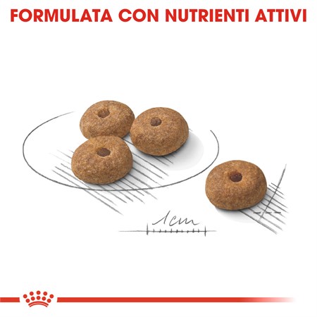 Royal Canin Mini Adult Sterilised 3 kg Per Cani in Cani