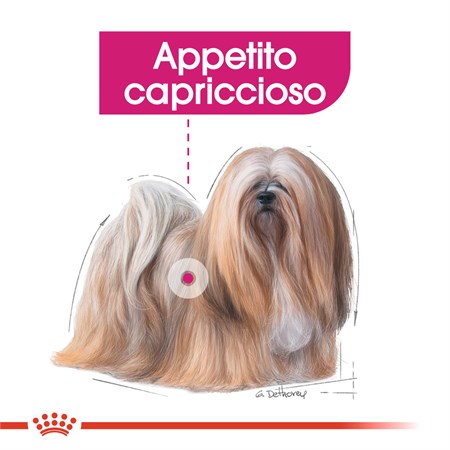Royal Canin Mini Exigent 1 kg Per Cani in Cani