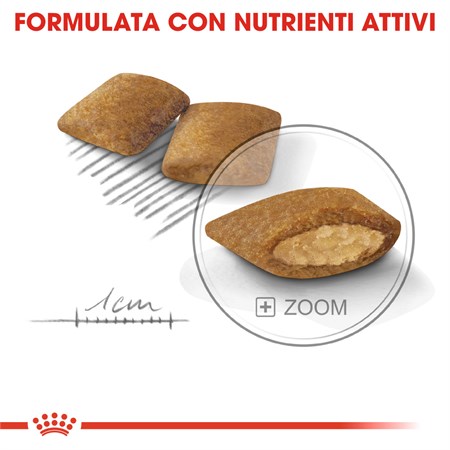 Royal Canin Mini Exigent 3 kg Per Cani in Cani