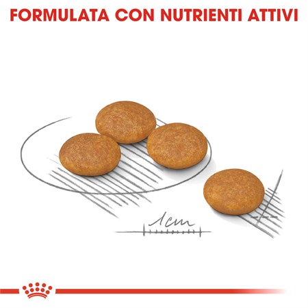 Royal Canin Mini Health Nutrition Dermacomfort 1 Kg Per Cani in Cani