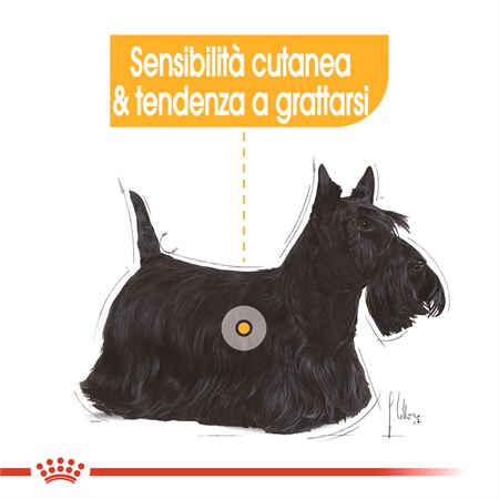 Royal Canin Mini Health Nutrition Dermacomfort 8 Kg Per Cani in Cani