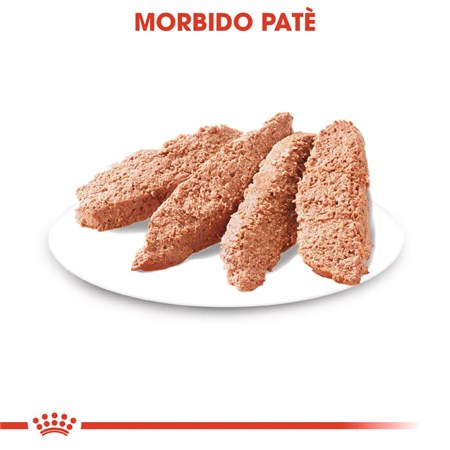 Royal Canin All Sizes Digestive Care 85 Gr Busta Pate Loaf Umido Per Cane in Cani