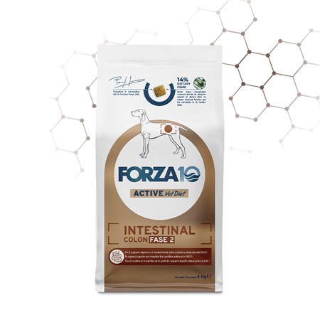Forza 10 Active Intestinal Colon Fase 2 4 Kg Cane in Cani