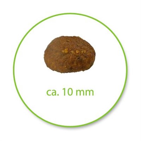 Royal Canin Hair & Skin Care 400 gr per Gatti in Gatti