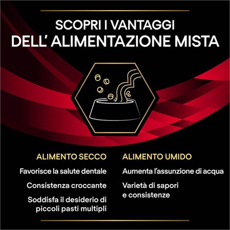 Purina Pro Plan Veterinary Diets DM Diabetes Management Manzo Bustina 85 gr Per Gatti in Gatti