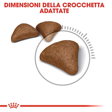 Royal Canin Care Hairball 400 gr Gatto in Gatti