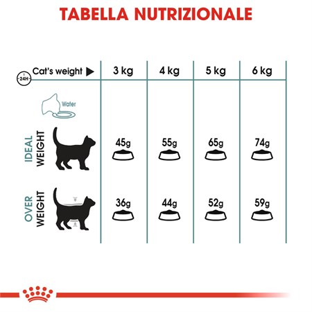 Royal Canin Care Hairball 400 gr Gatto in Gatti