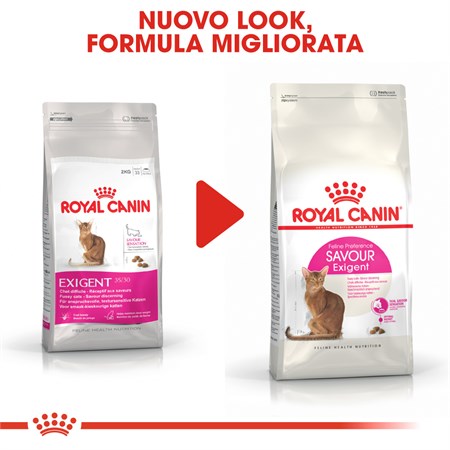 Royal Canin Exigent Savour Sensation 400 gr Secco Gatto in Gatti