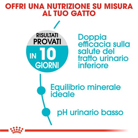 Royal Canin Urinary Care Mantenimento 400 gr Gatto in Gatti