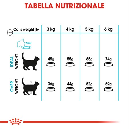 Royal Canin Urinary Care Mantenimento 400 gr Gatto in Gatti